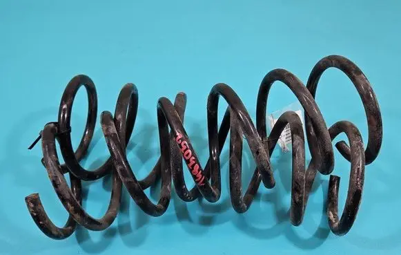 Rear coil spring