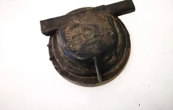 Headlight/headlamp dust cover