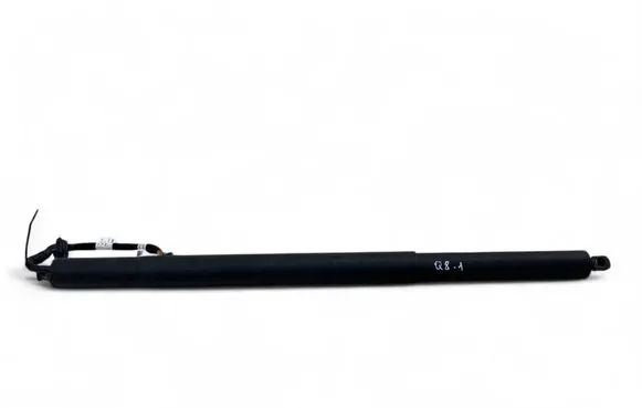 Tailgate/trunk strut/damper