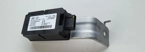 Hyundai Santa Fe Other control units/modules 958002W200