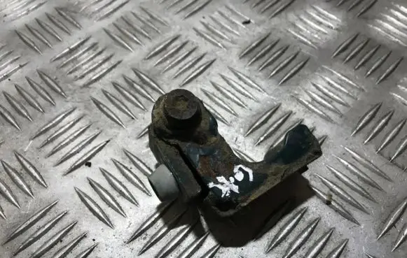 Peugeot 206 Rear door lower hinge