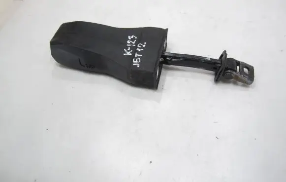 Volkswagen Jetta VI Rear door check strap stopper 5C6839249A