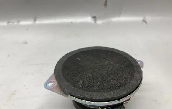 Dodge Charger Front door speaker 05064359AB