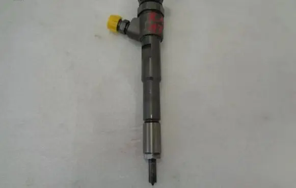 Renault Kangoo II Fuel injector 0445110652