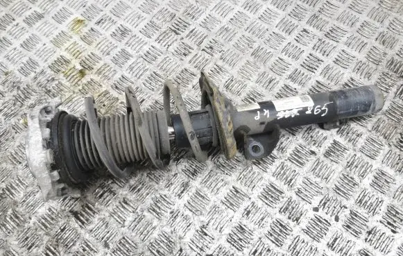 Volkswagen ID.3 Front shock absorber/damper 1EA412013CS