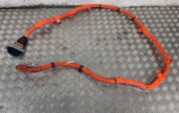 Toyota Mirai II Other wiring loom 821H3-62040