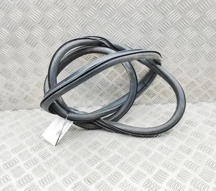 Alfa Romeo Giulia Rubber seal rear door 50543588