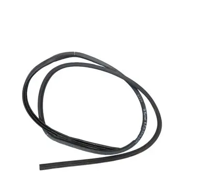 Nissan Murano Z52 Front door rubber seal