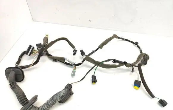 Renault Laguna III Front door wiring loom 55RJ21J33 241253760R