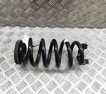 Skoda Enyaq iV Rear coil spring 1EA511103H