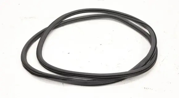 Volkswagen Tiguan Allspace Rubber seal front door (on door) 5NN8679135764869