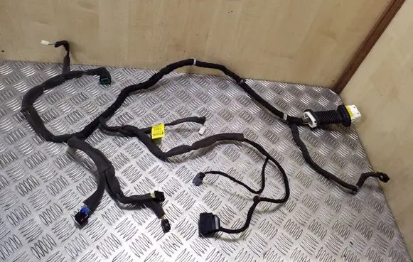 Opel Antara Front door wiring loom 95161822