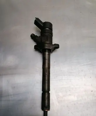 Lancia Musa Fuel injector 0445110259