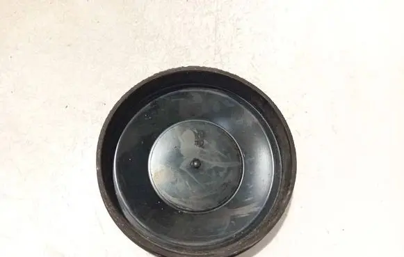 Headlight/headlamp dust cover