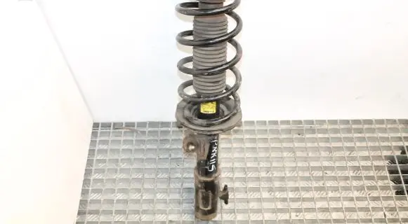 Chevrolet Captiva Front shock absorber/damper 20945997