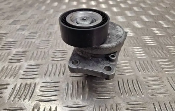 Citroen DS5 Generator/alternator belt tensioner E50119A111950A