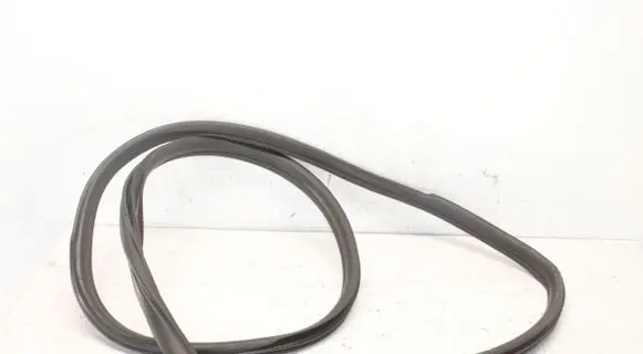 BMW X4 F26 Rear door rubber seal (on body) 7380924