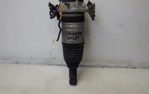 Porsche Cayenne (92A) Rear shock absorber/damper