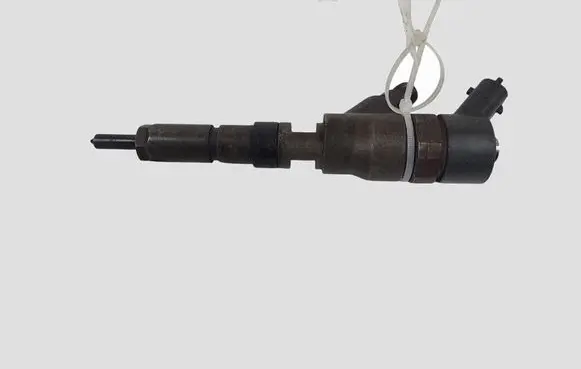 Peugeot 307 Fuel injector 0445110076