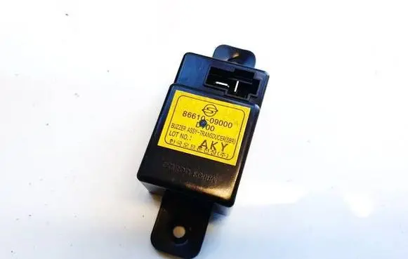 SsangYong Kyron Other control units/modules 8661009000
