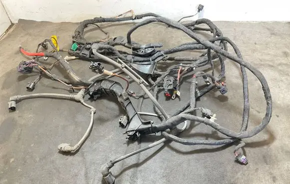 Cupra Born Other wiring loom