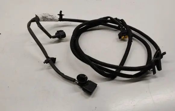 Renault Kangoo II Other wiring loom 00000