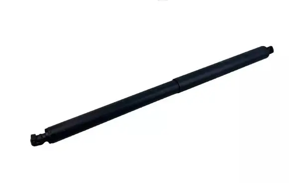 Tailgate strut