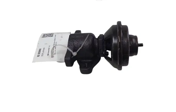 KIA Carens II EGR valve