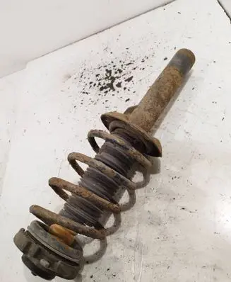 Skoda Octavia Mk2 (1Z) Front shock absorber with coil spring