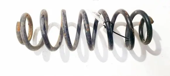 Volkswagen PASSAT B6 Rear coil spring