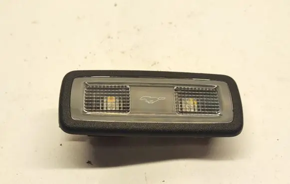 Ford Mustang Mach-E Front seat light M1PA13A756C