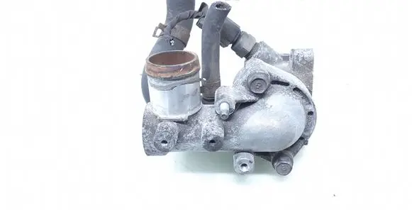 Thermostat/thermostat housing