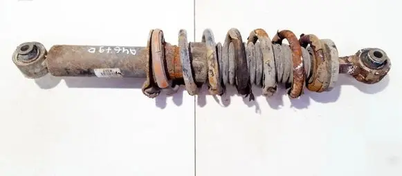 Peugeot 407 Rear coil spring
