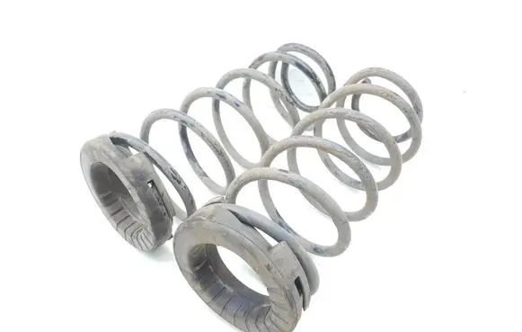 Rear coil spring
