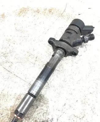 Citroen Berlingo Fuel injector 0445110259