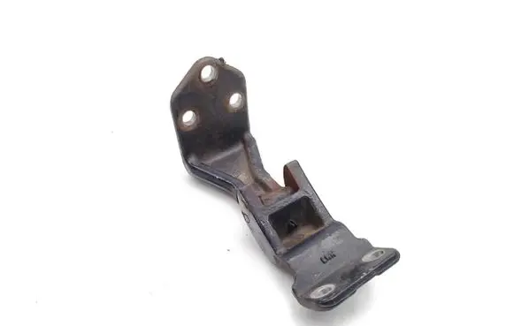 Hyundai H-1, Starex, Satellite Rear door lower hinge