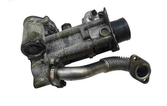 Renault Koleos I EGR valve 8200987453