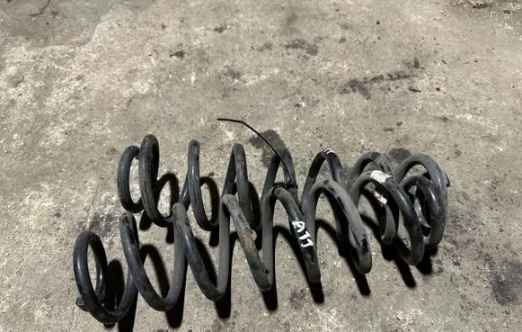 Volkswagen PASSAT B8 Rear coil spring