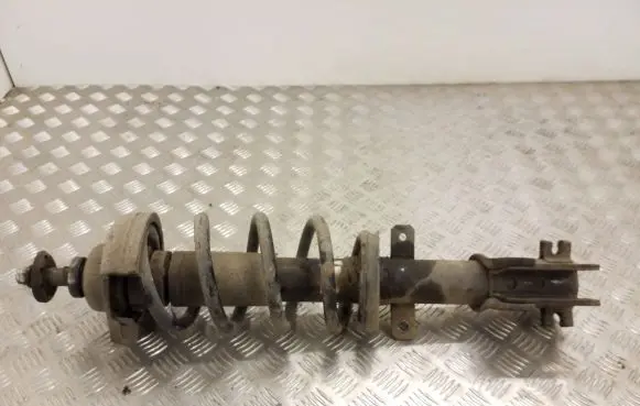 Opel Vivaro Front shock absorber/damper 335803 E631