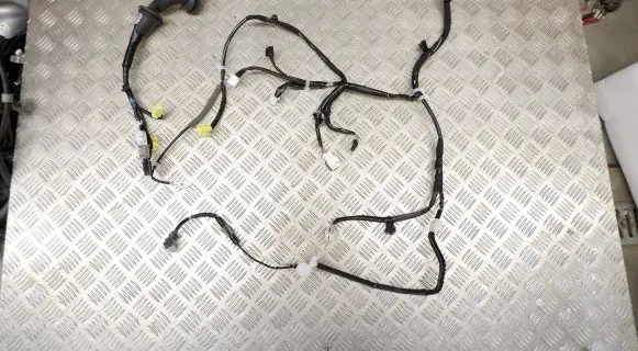Lexus NX Front door wiring loom 8215278370 8215278370B
