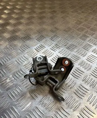 Nissan Qashqai Front door lower hinge 
