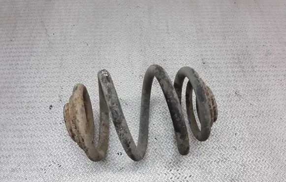 Volkswagen Transporter - Caravelle T4 Rear coil spring