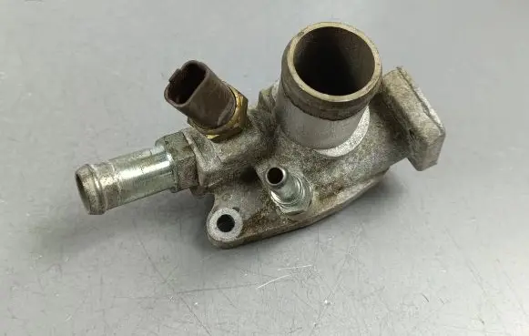 Thermostat/thermostat housing
