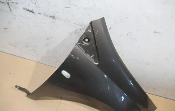 Fiat Bravo Fender