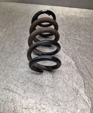 Rear coil spring
