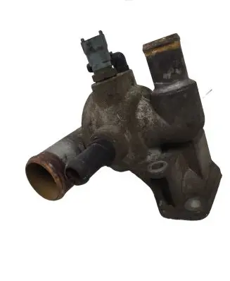 Thermostat/thermostat housing