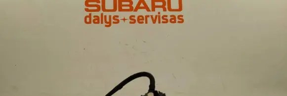 Subaru Outback (BS) Headlight washer pump 