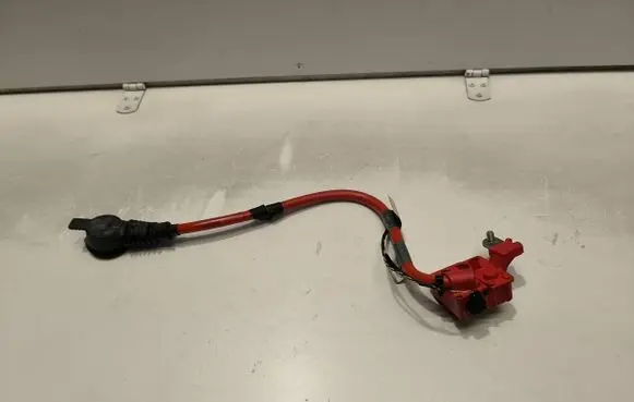 BMW 7 F01 F02 F03 F04 Positive cable (battery) 9217032 9217033 EGB78Y