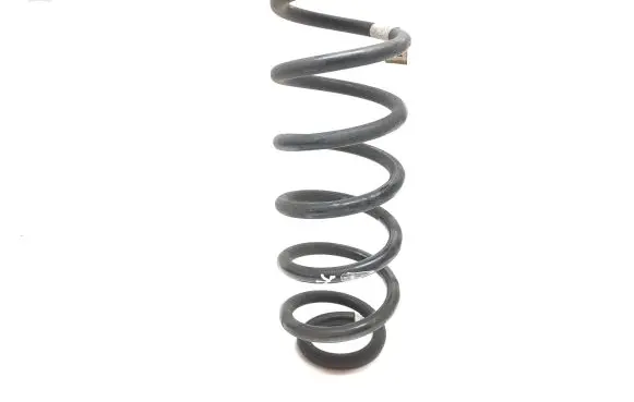 Volkswagen Tiguan Allspace Rear coil spring 5QN511115C 290119