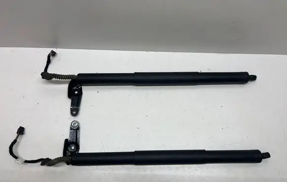 Tailgate strut